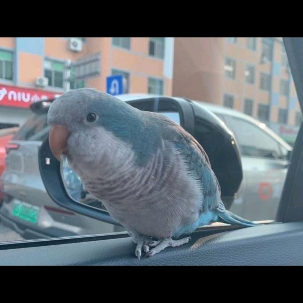 萌乐宠物天地