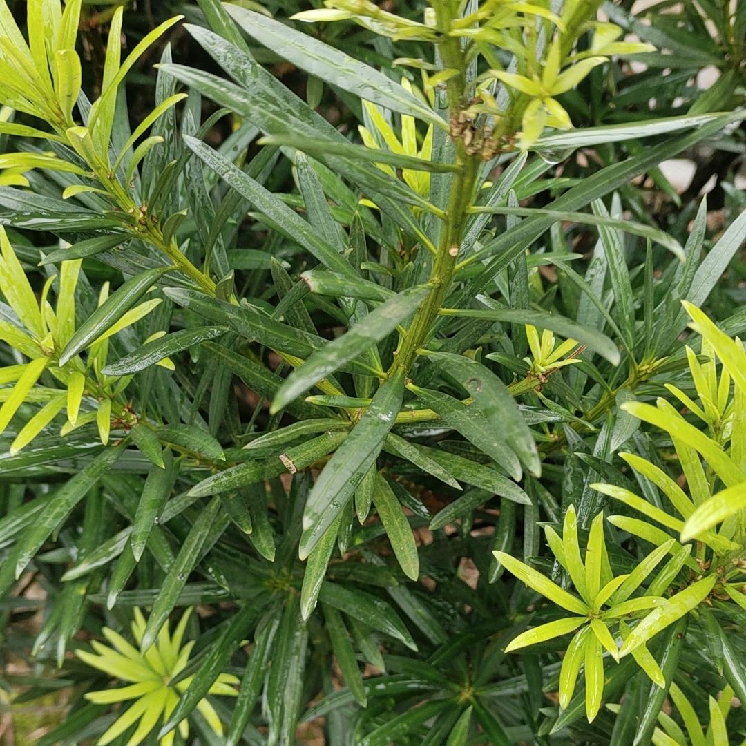 只要相识就是缘分。