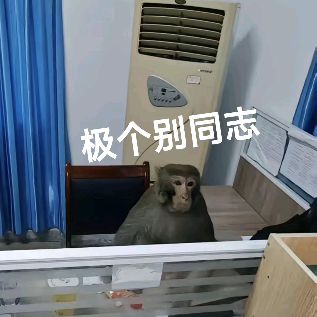 OPPO家KK（一加ACE 6T版）