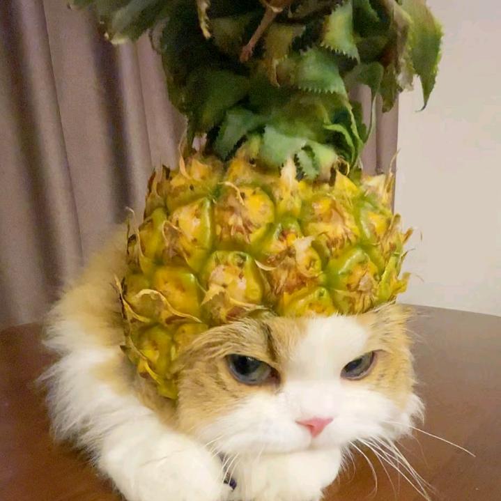 🍍