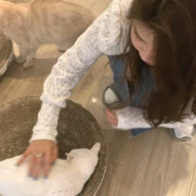 ⑦⑦
