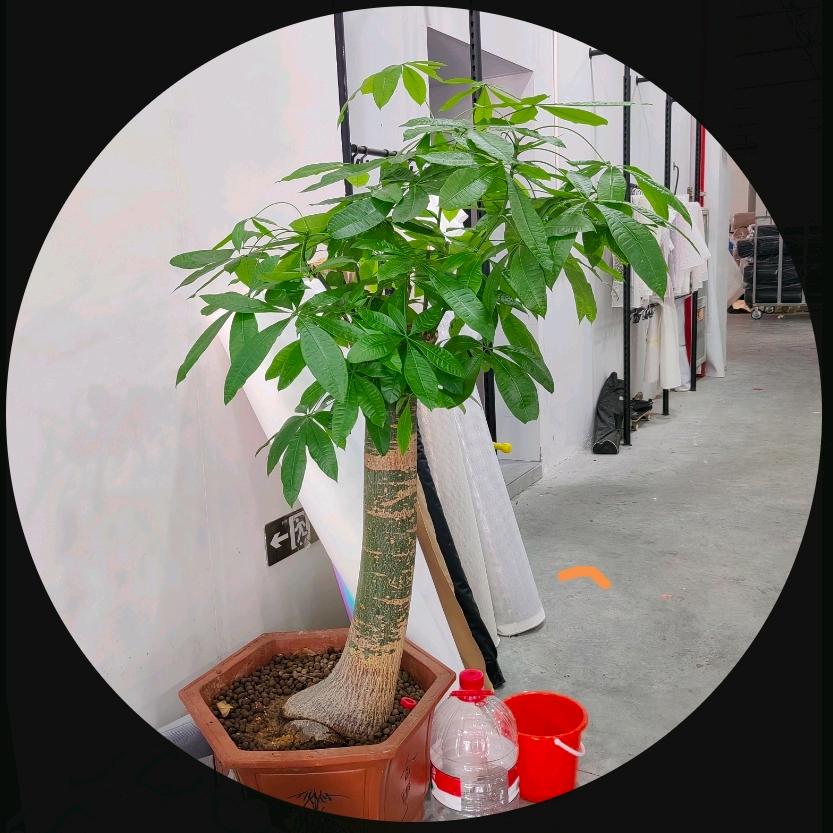 人间烟火•