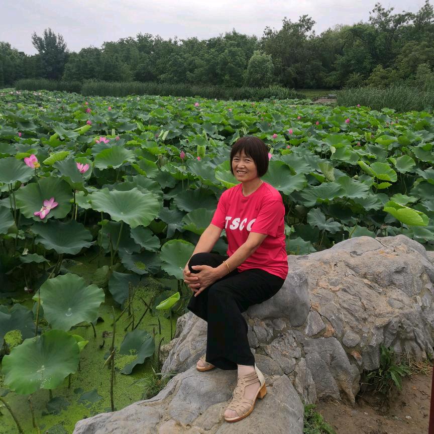 玲珑