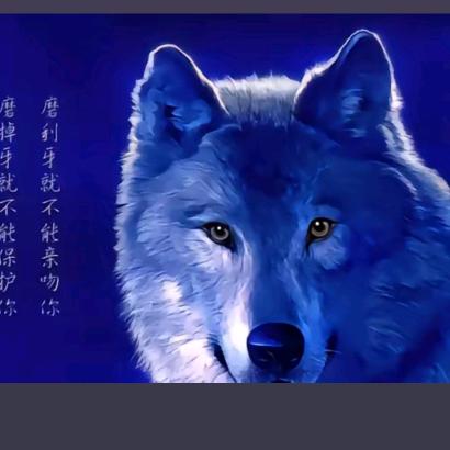 顺其自然，不说遗憾