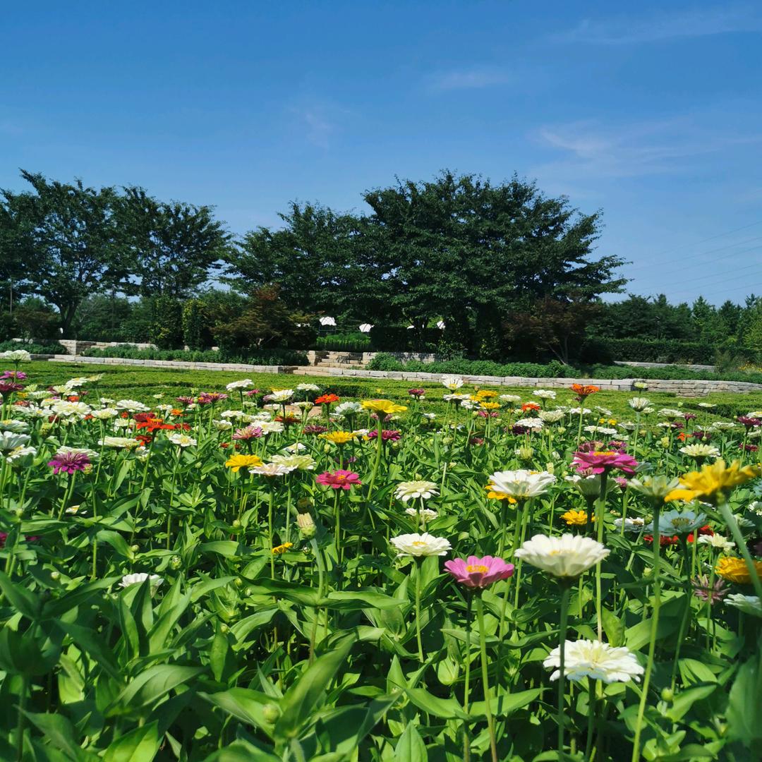 一帆风顺.李拒绝私聊