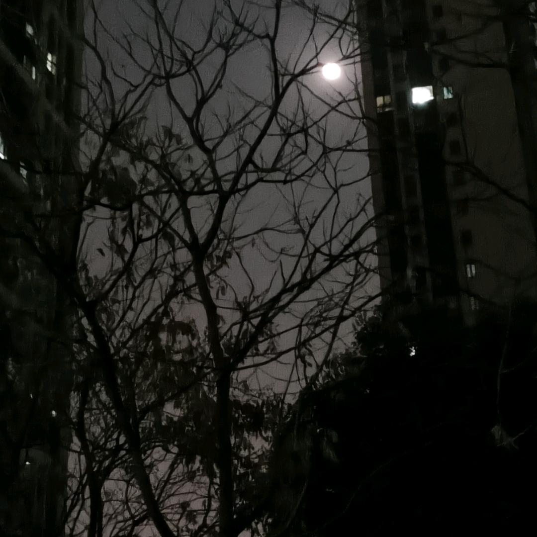 星影