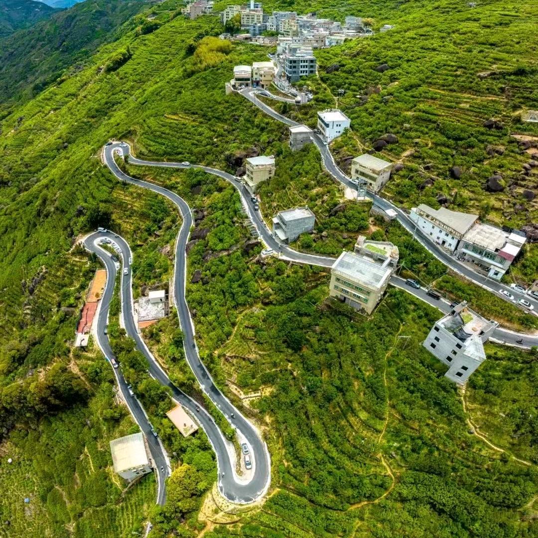 尚品轩【凤凰单丛】