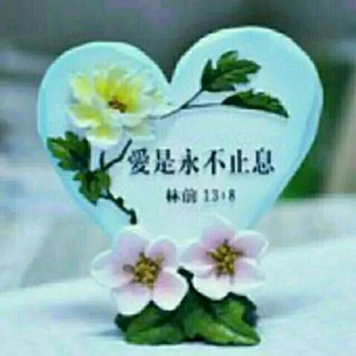 小绵羊（拒私聊）