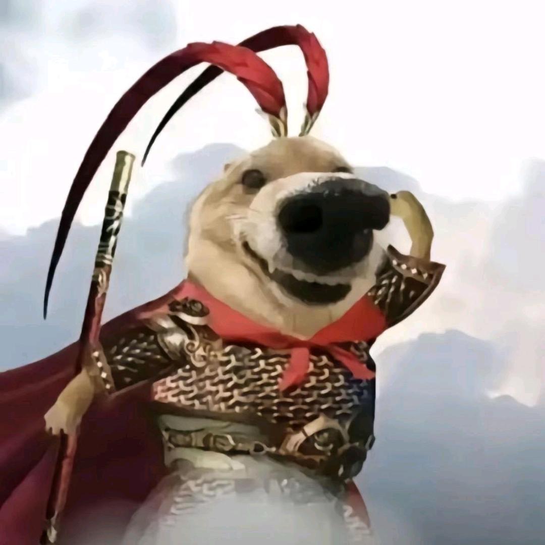 威尔
