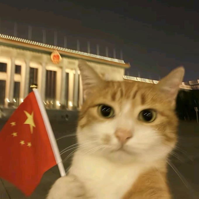 刘楚宁