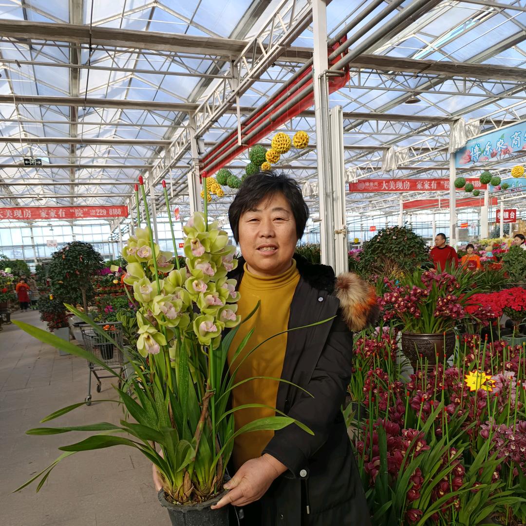 孔姐