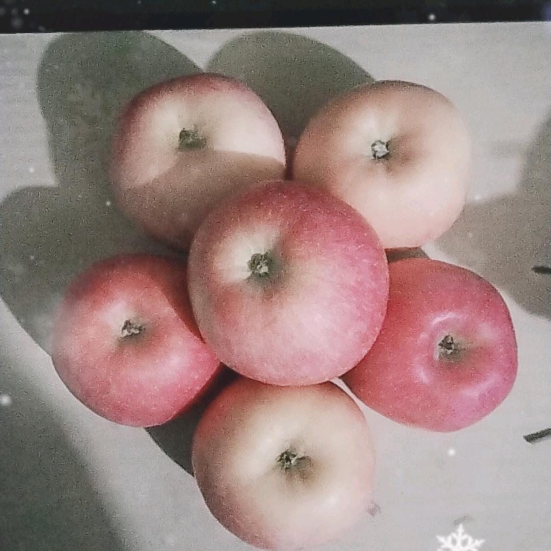 我是奶龙