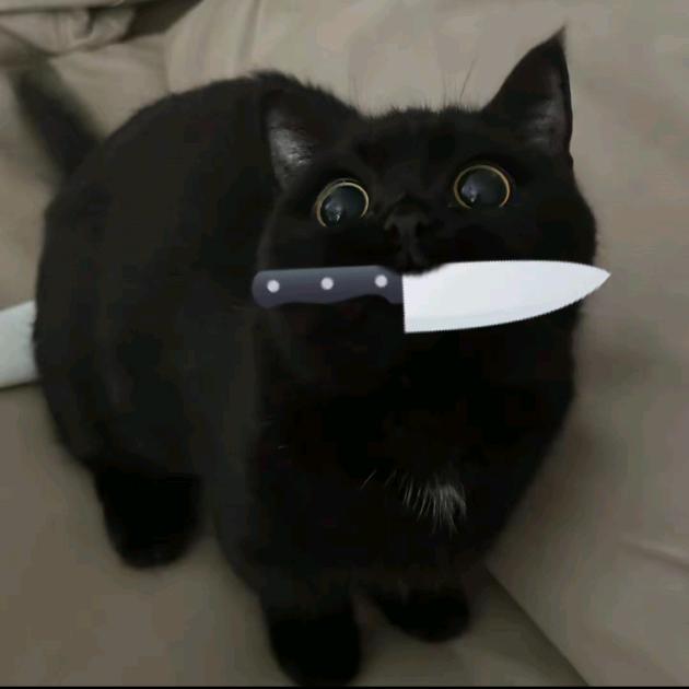 斯巴达