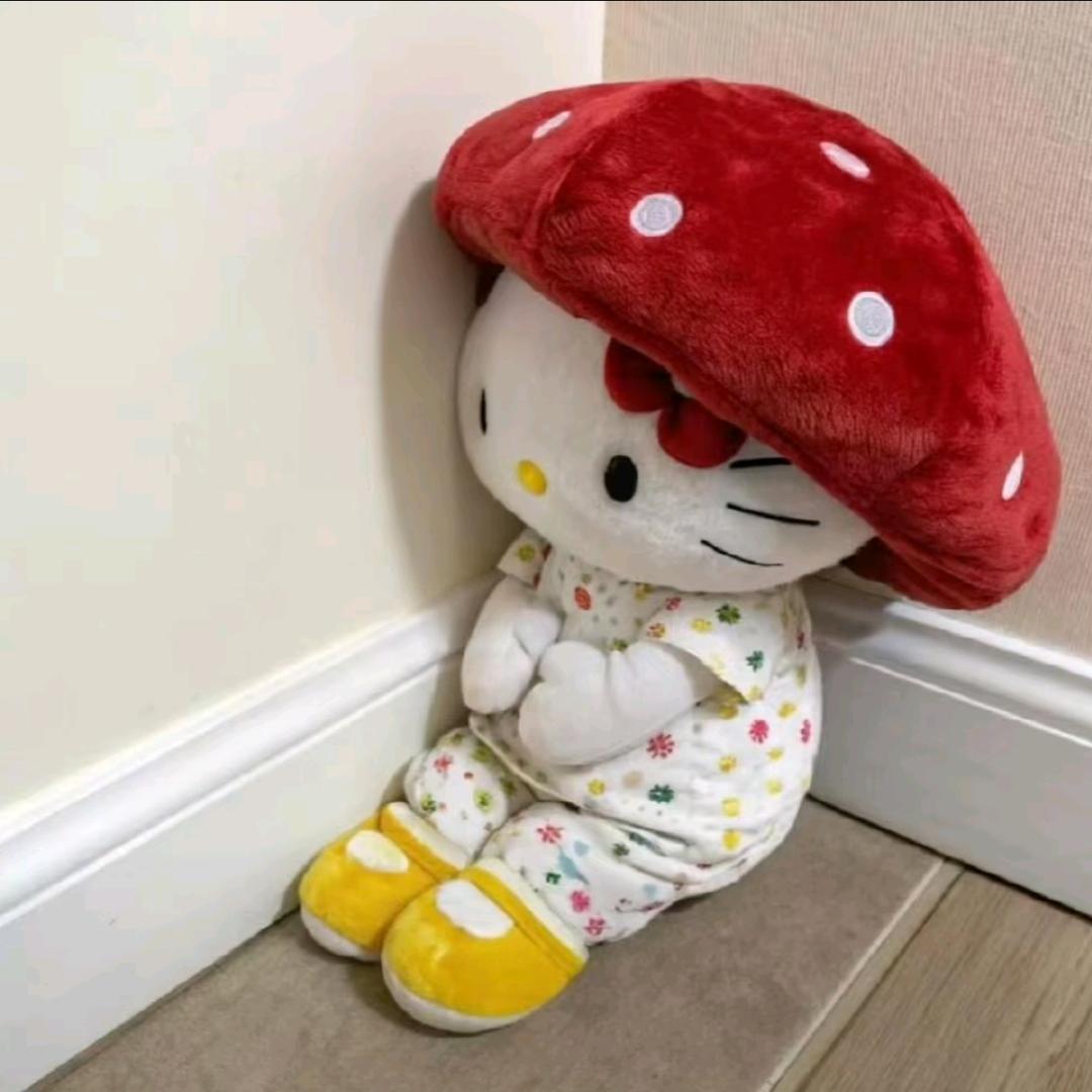 披萨🍕🐟(见过时团版)