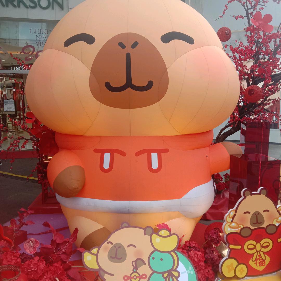 必须的