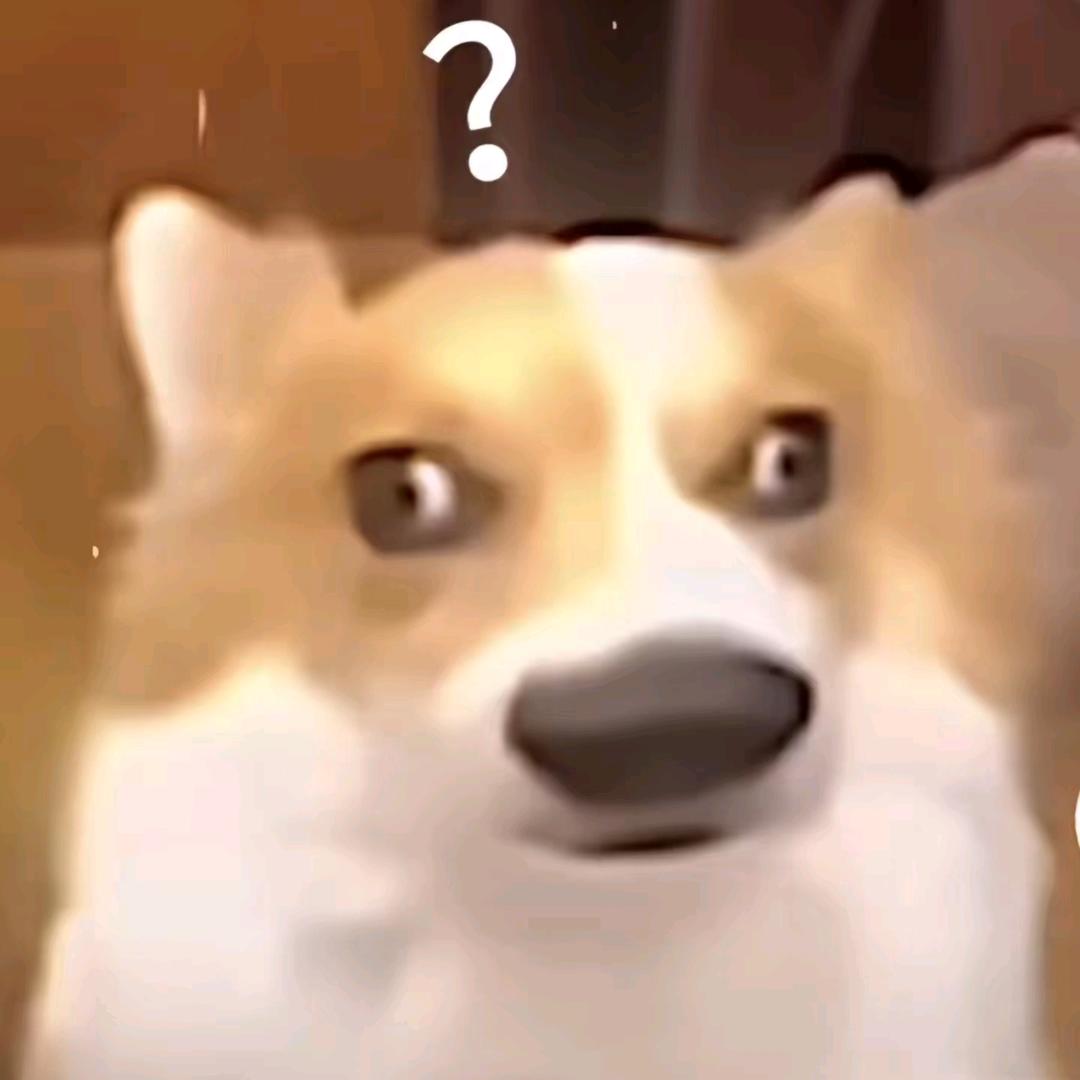 敢和我对视吗