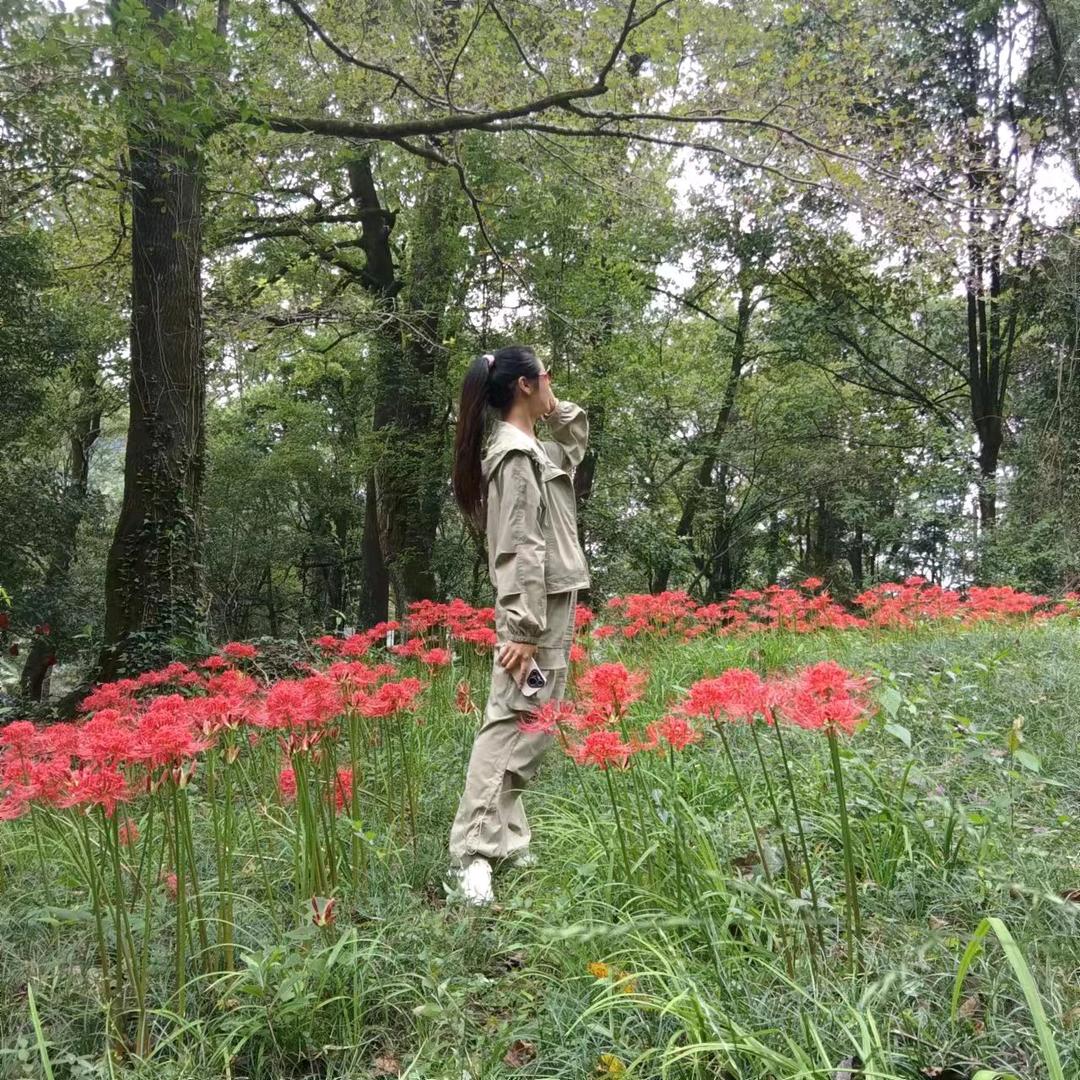 小萌猫