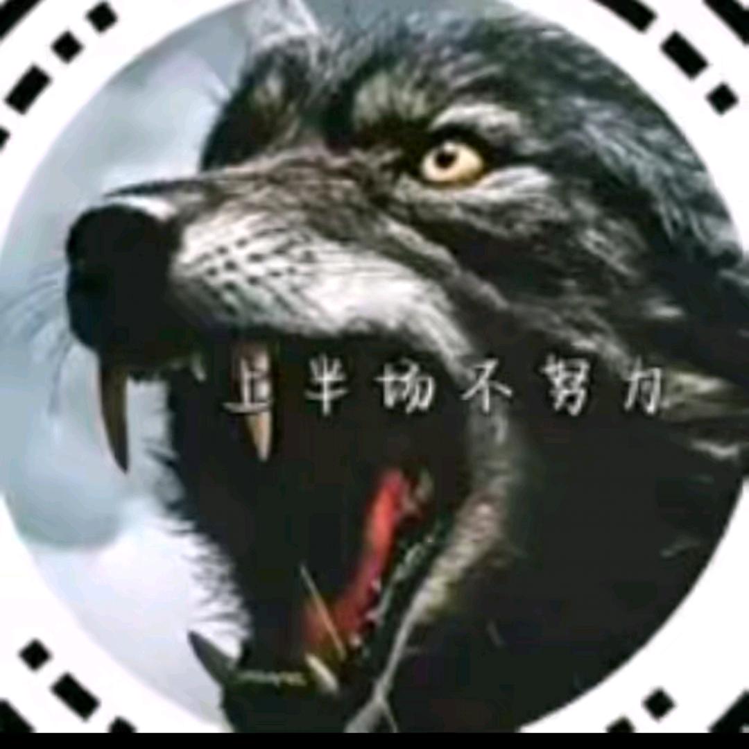 野狼