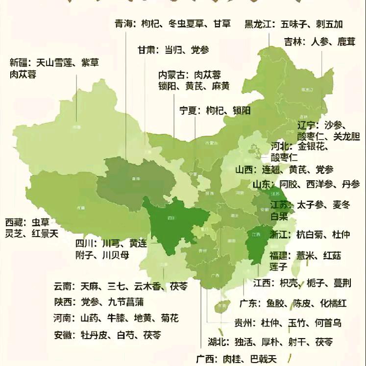 达丰农业中药材研究所