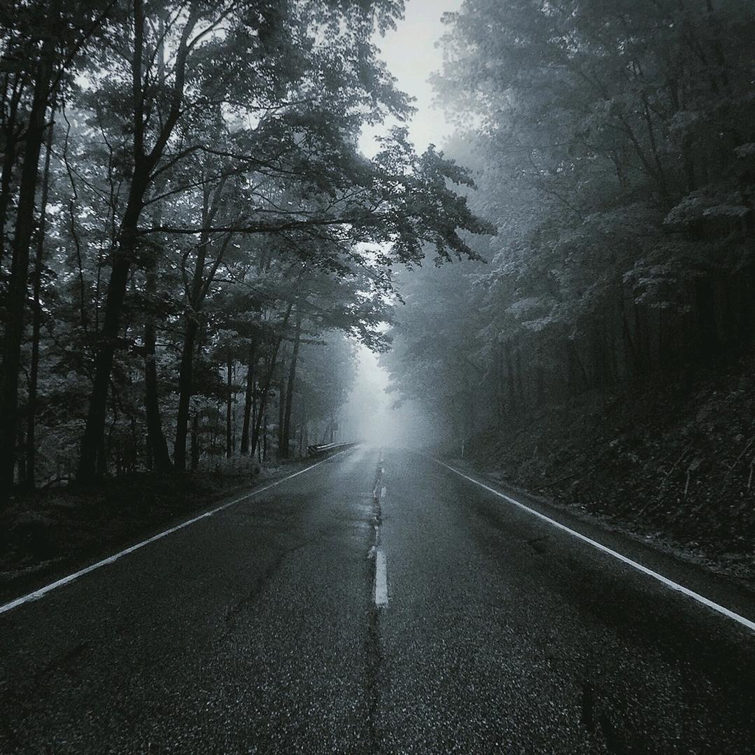 夢裡花落夜半雨