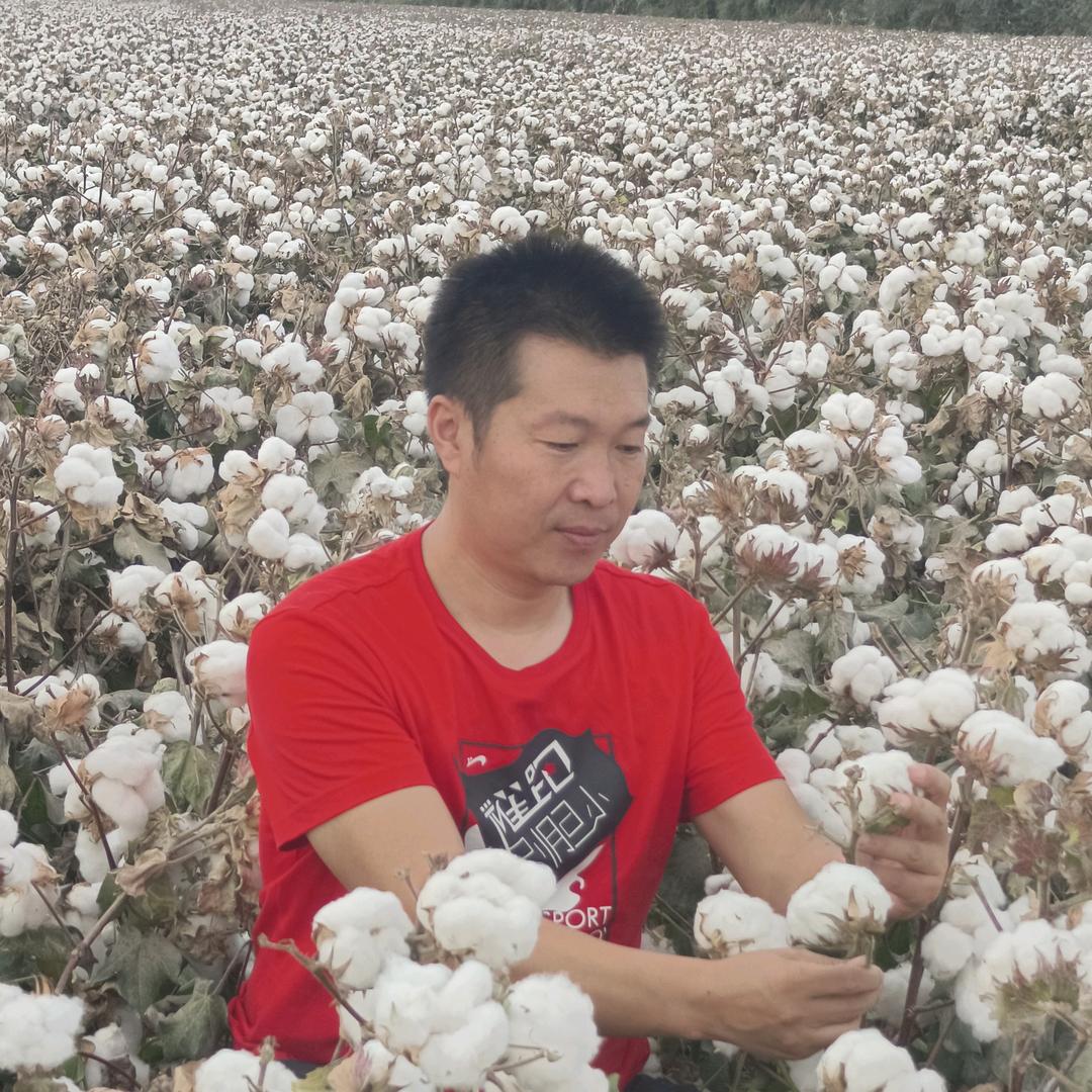 贾老练鼎盛汇金农资