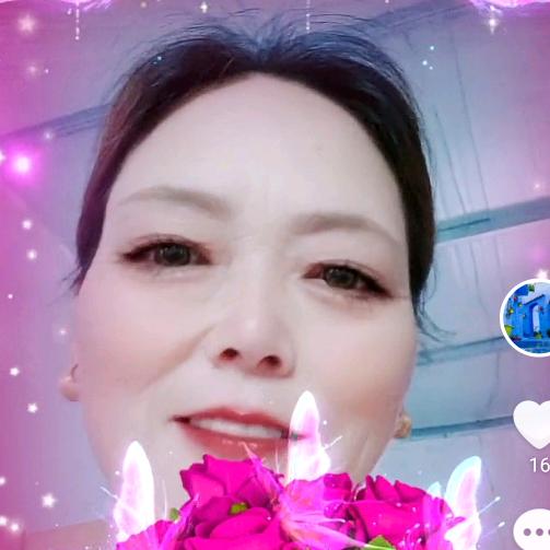 何秀美
