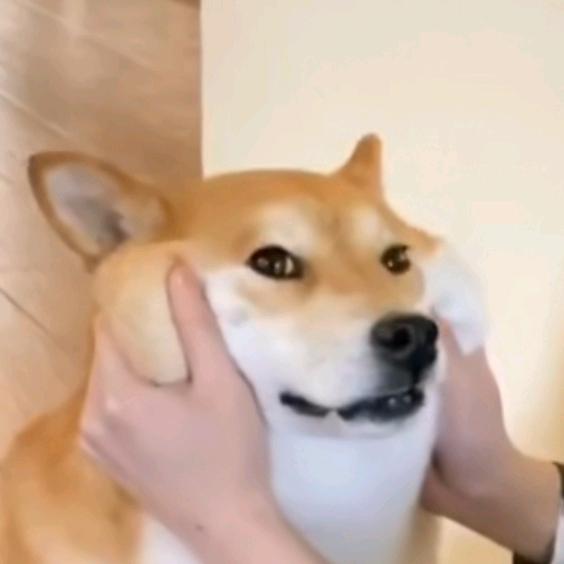 独行侠77yu