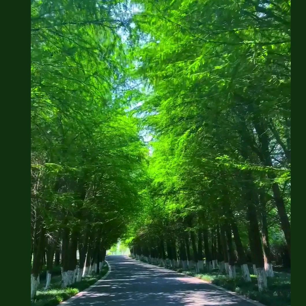 伟伟