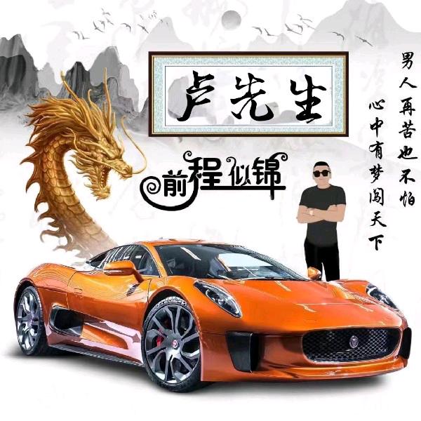 我姓卢，乐吾卢。一卢陪你展江湖