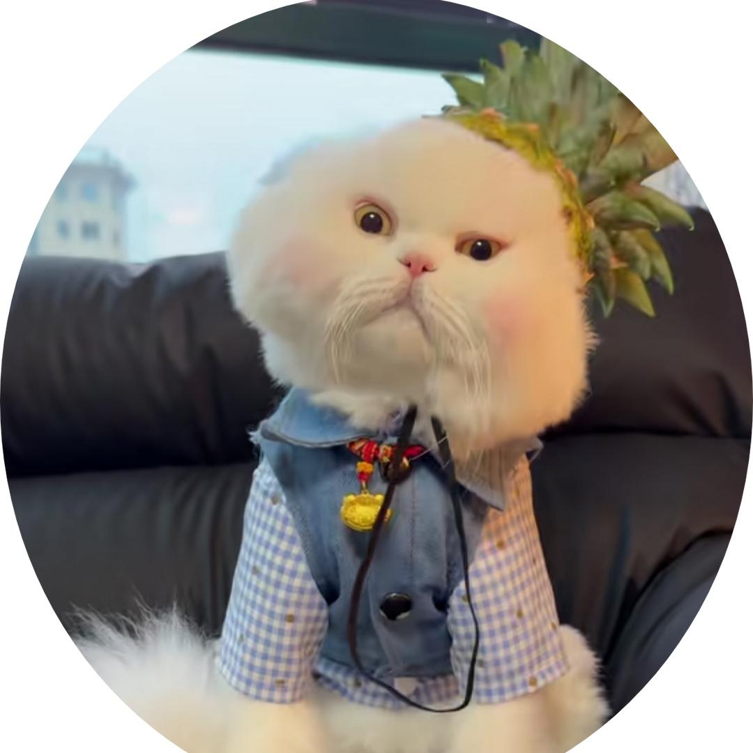 逗沙包⚡🌙🌽（见过梓渝）