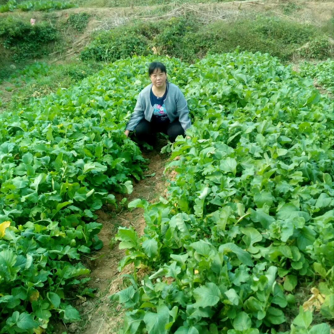 过好每一天的生活