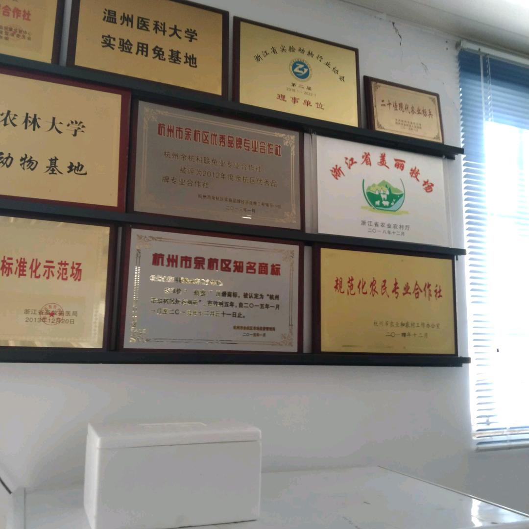 刘总