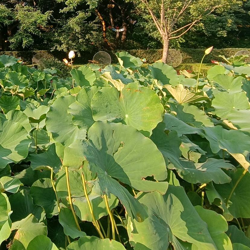 小雨妈妈