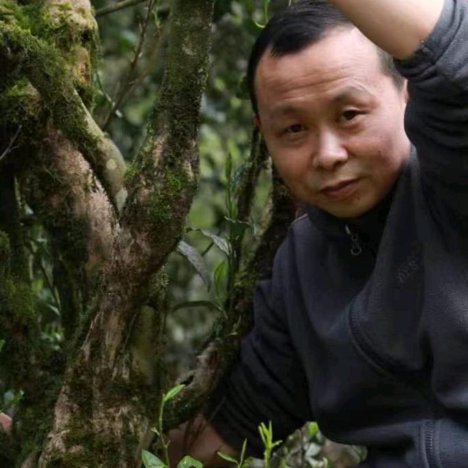 陈记茶业工厂店