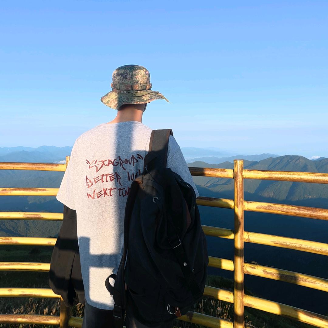戈戈bro
