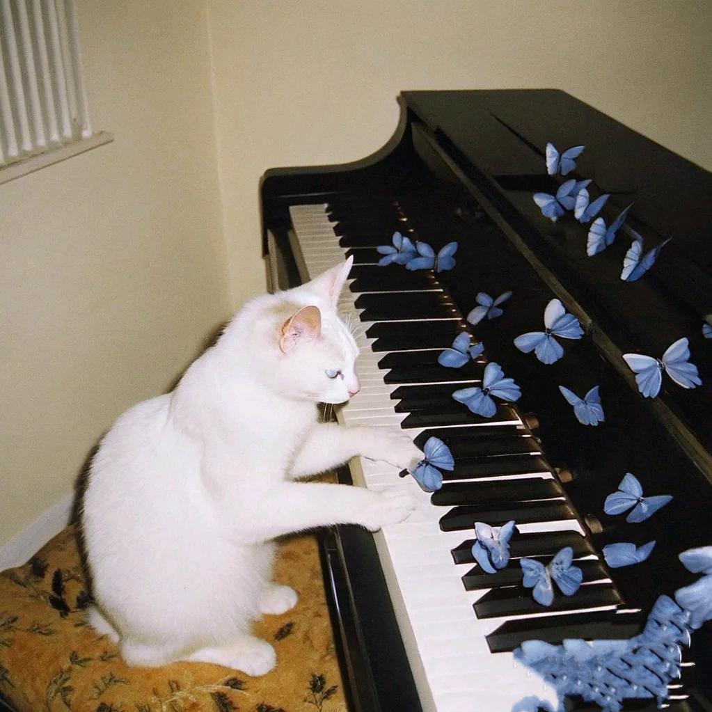 倩倩🎹