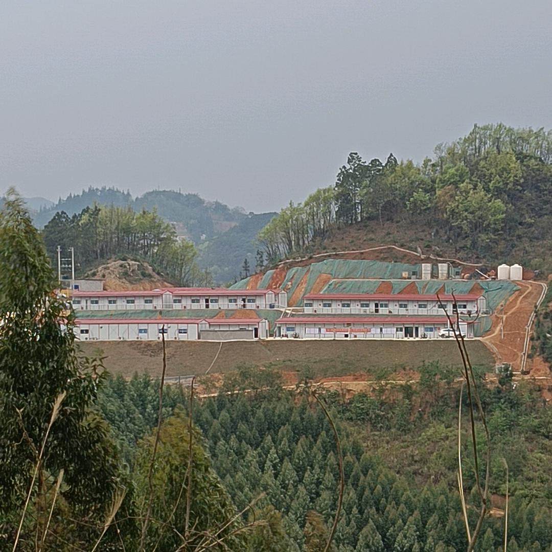 陈安