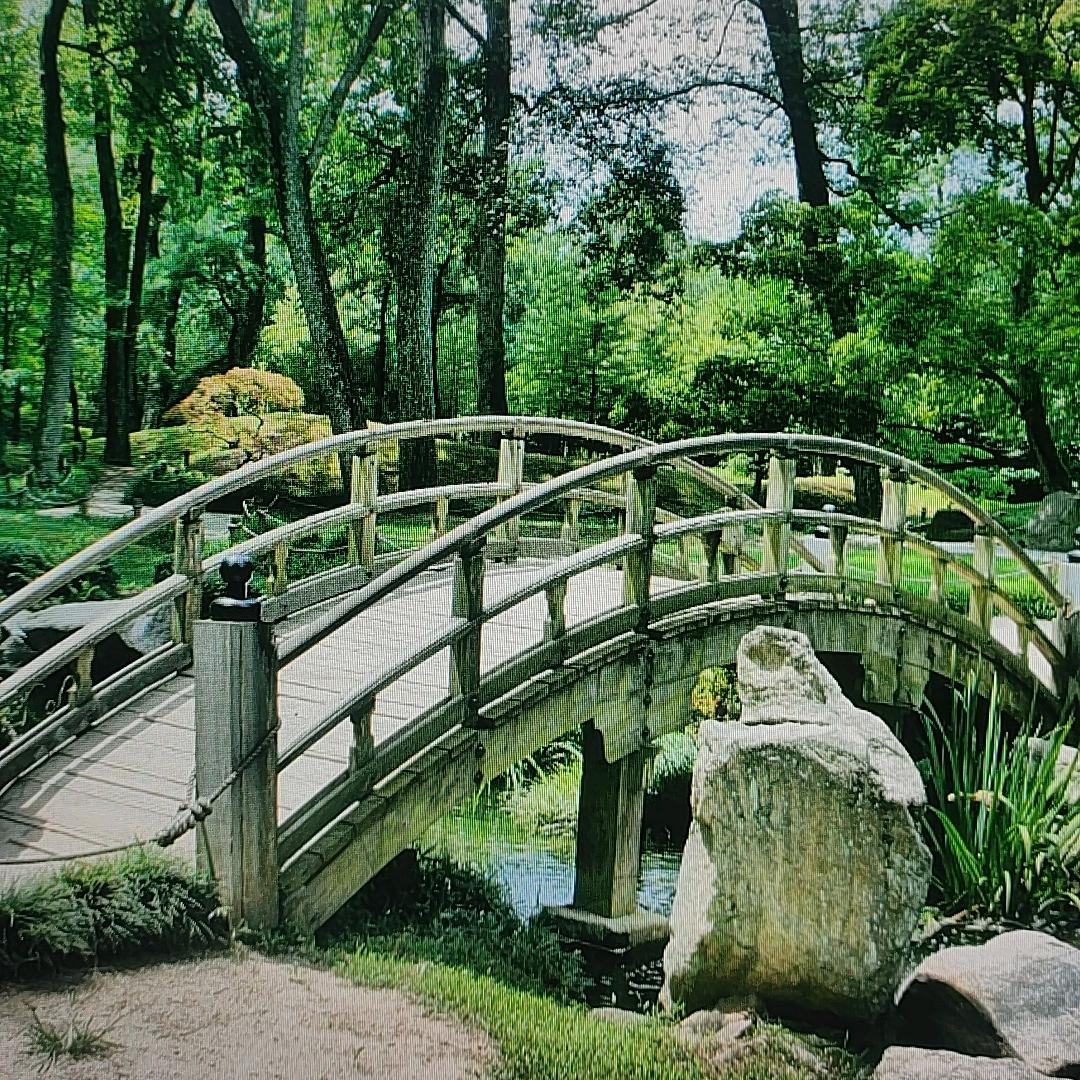 兔小萌