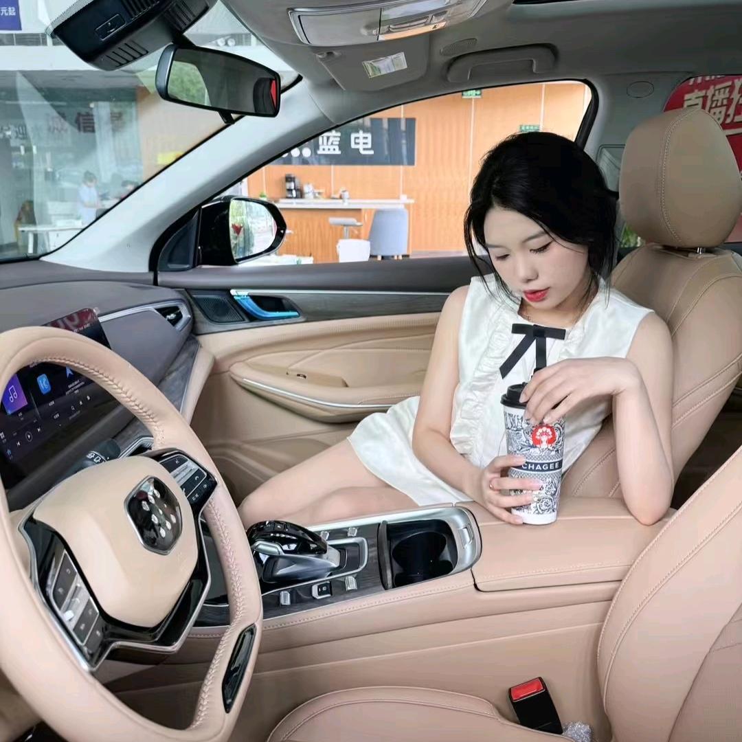 赛力斯蓝电团购中心