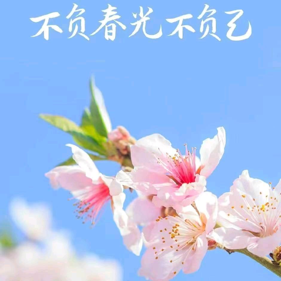 用户7671744644045流浪的人