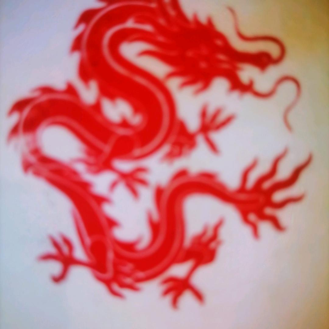 卧龙火（519）助力号