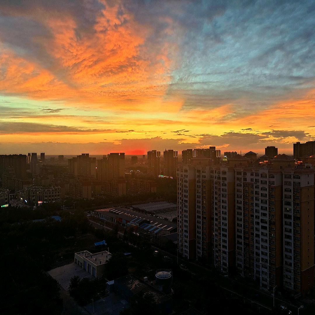 小杨爱睡觉