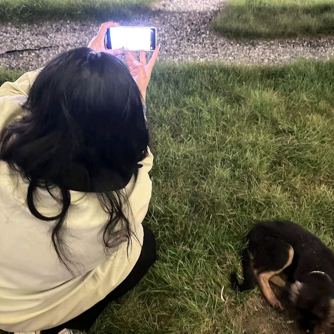 苹什么蛐蛐窝🐟³³⁰².