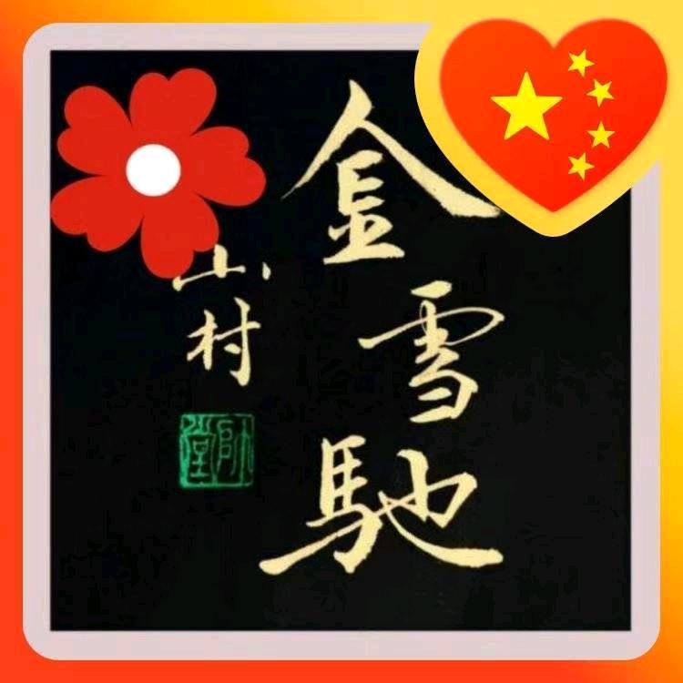 南阳市金雪驰商贸薛峰