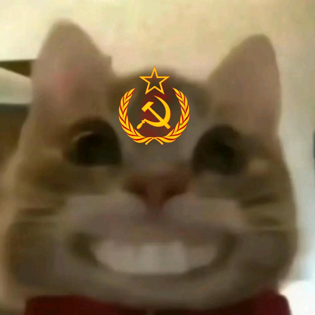 睡不醒的肉肉大魔王ᥫ᭡້