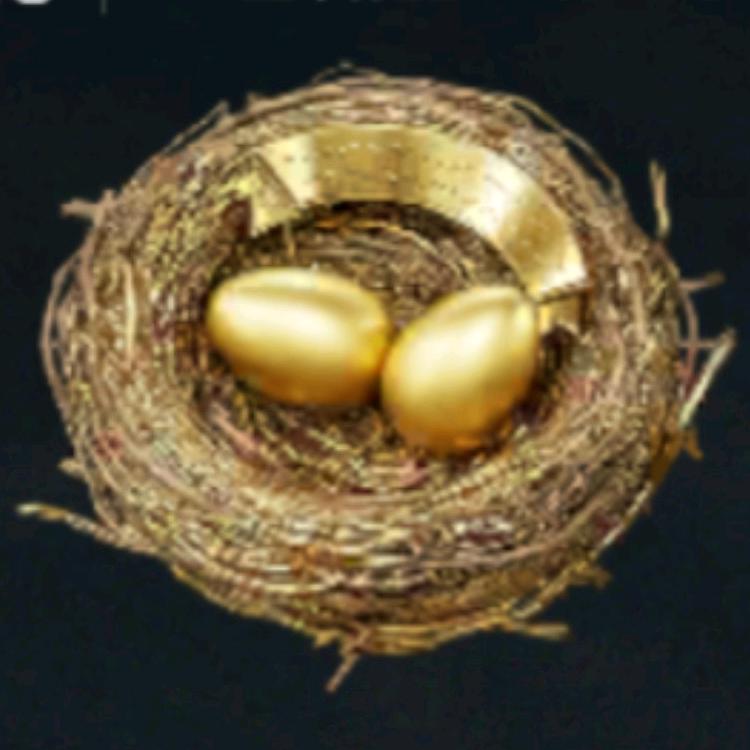 @黄金鸟窝专场🪺