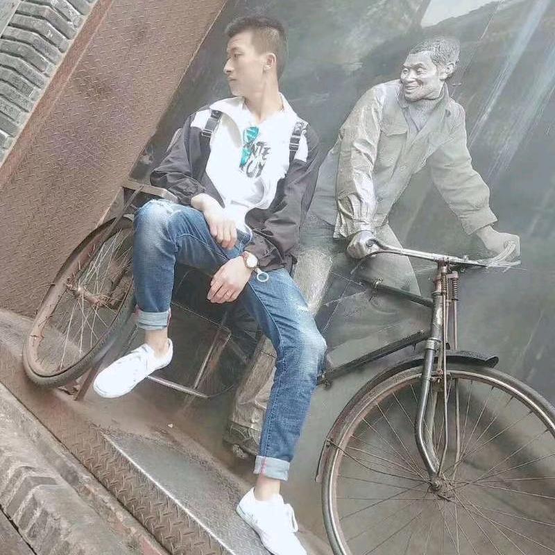 小肥猪看着我