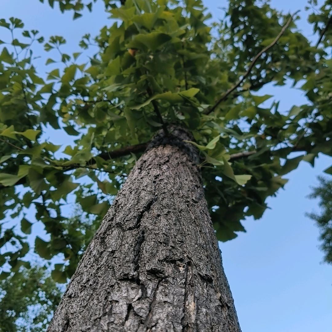 越努力，越幸运🌹🌹🌹🌹🌹