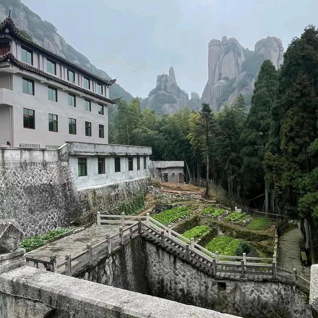 宝哥