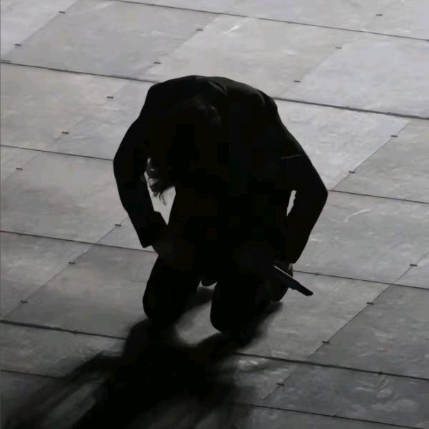 莫待无花空折枝